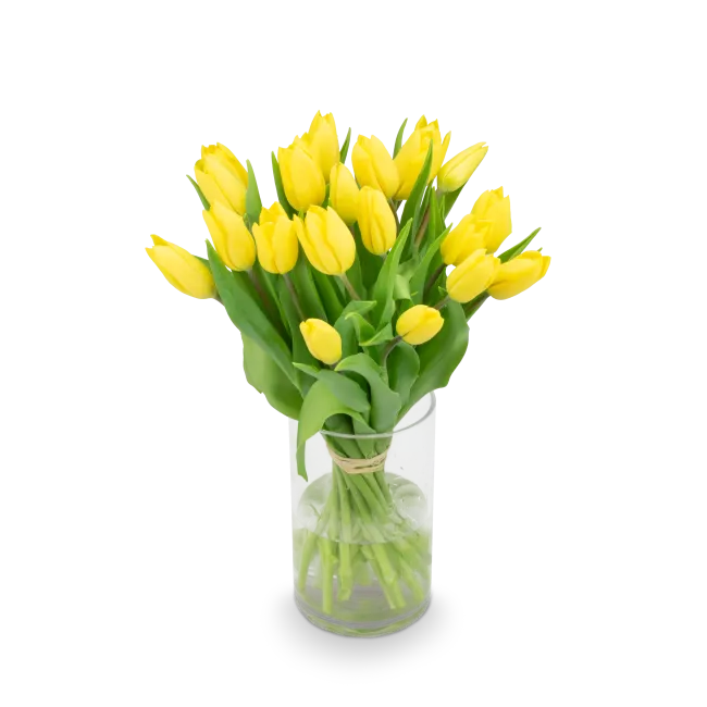 Bouquet of tulips